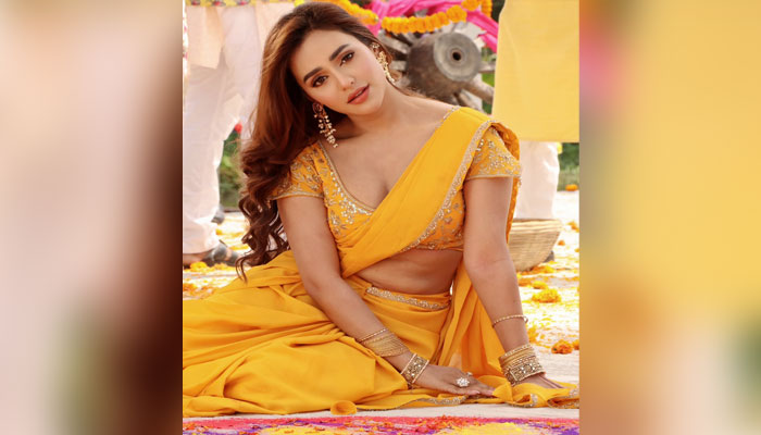 বিমানবন্দরে আটক অভিনেত্রী নুসরাত ফারিয়া